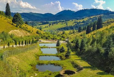 Baile termale din Vatra Dornei