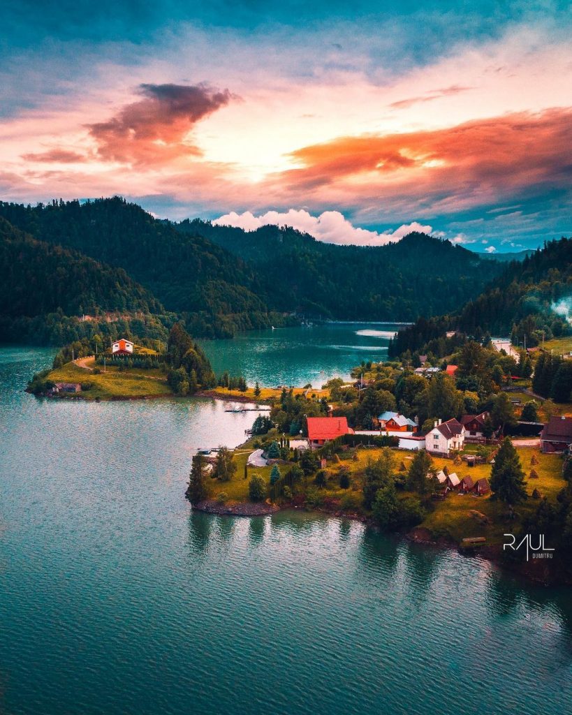 Colibita