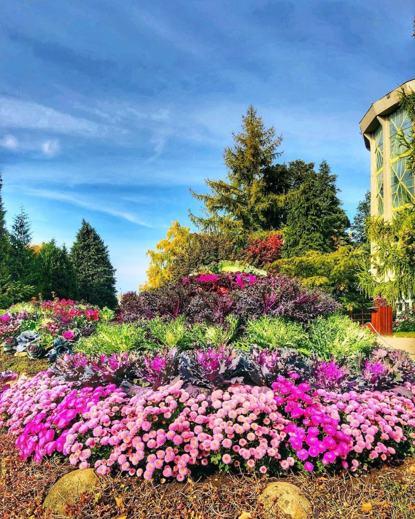 Gradina Botanica in Iasi