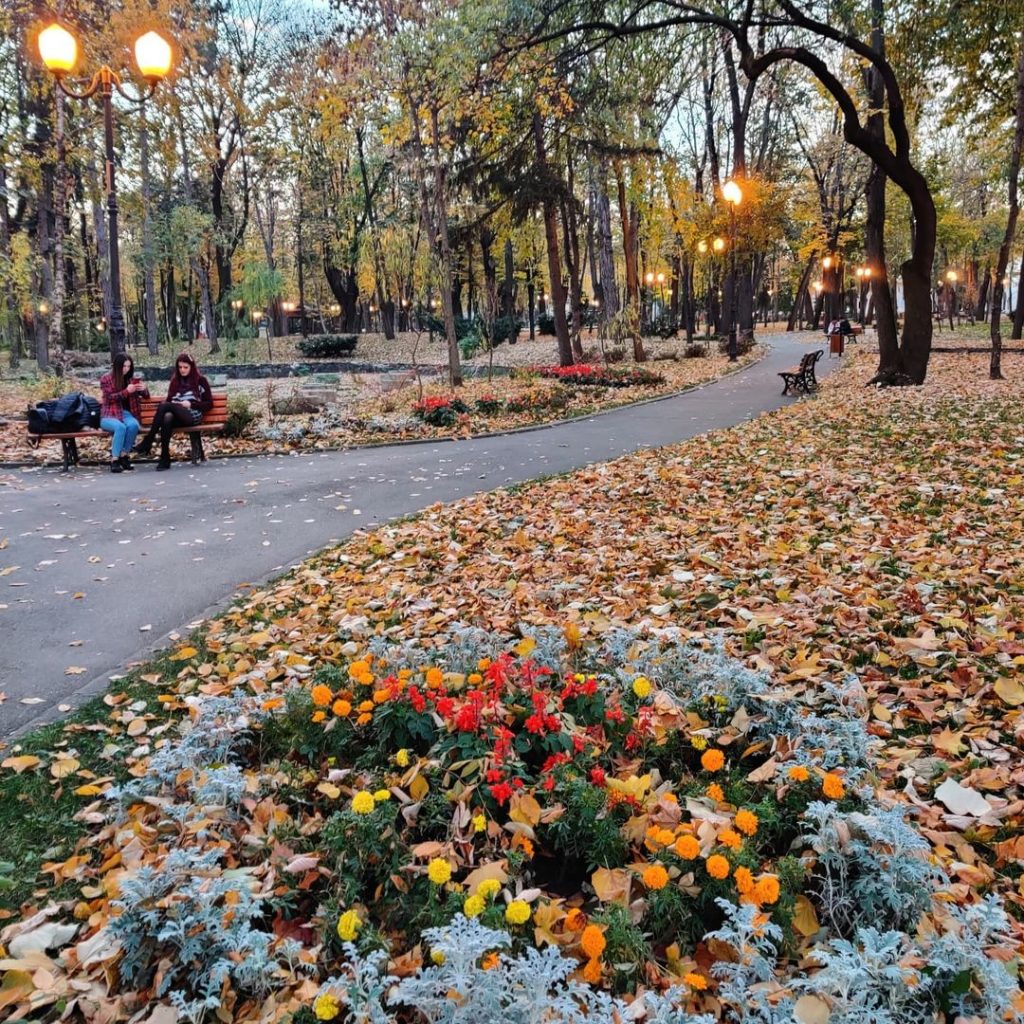 Parcul Copou Iasi