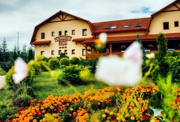 pensiuni in Toplita